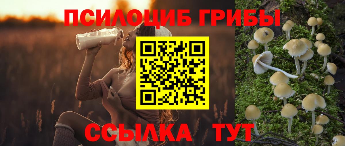 Псилоцибиновые грибы GOLDEN TEACHER Шали